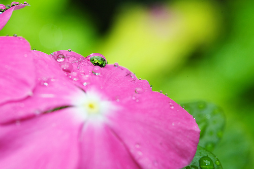 Tiny drops