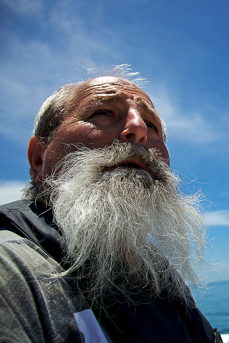 Grey beard the pirate