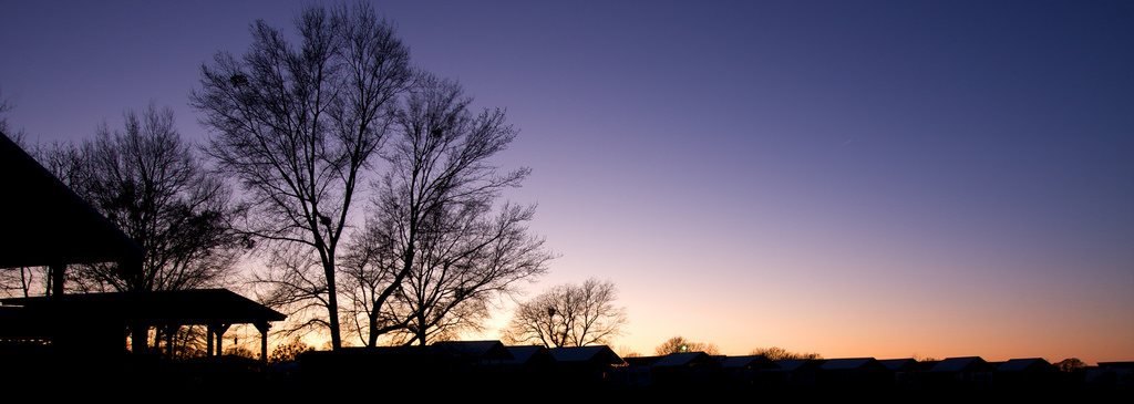 The shore at sundown