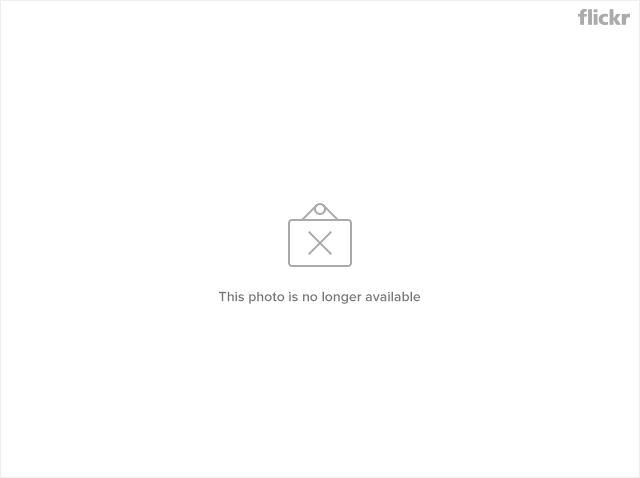 IMG_0331 copy