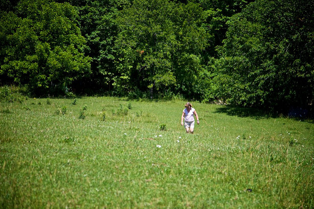 Walking through the pasture