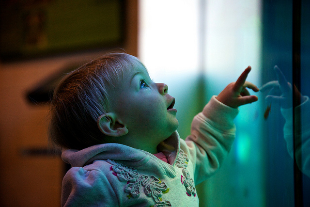 Camille looking at the turtle